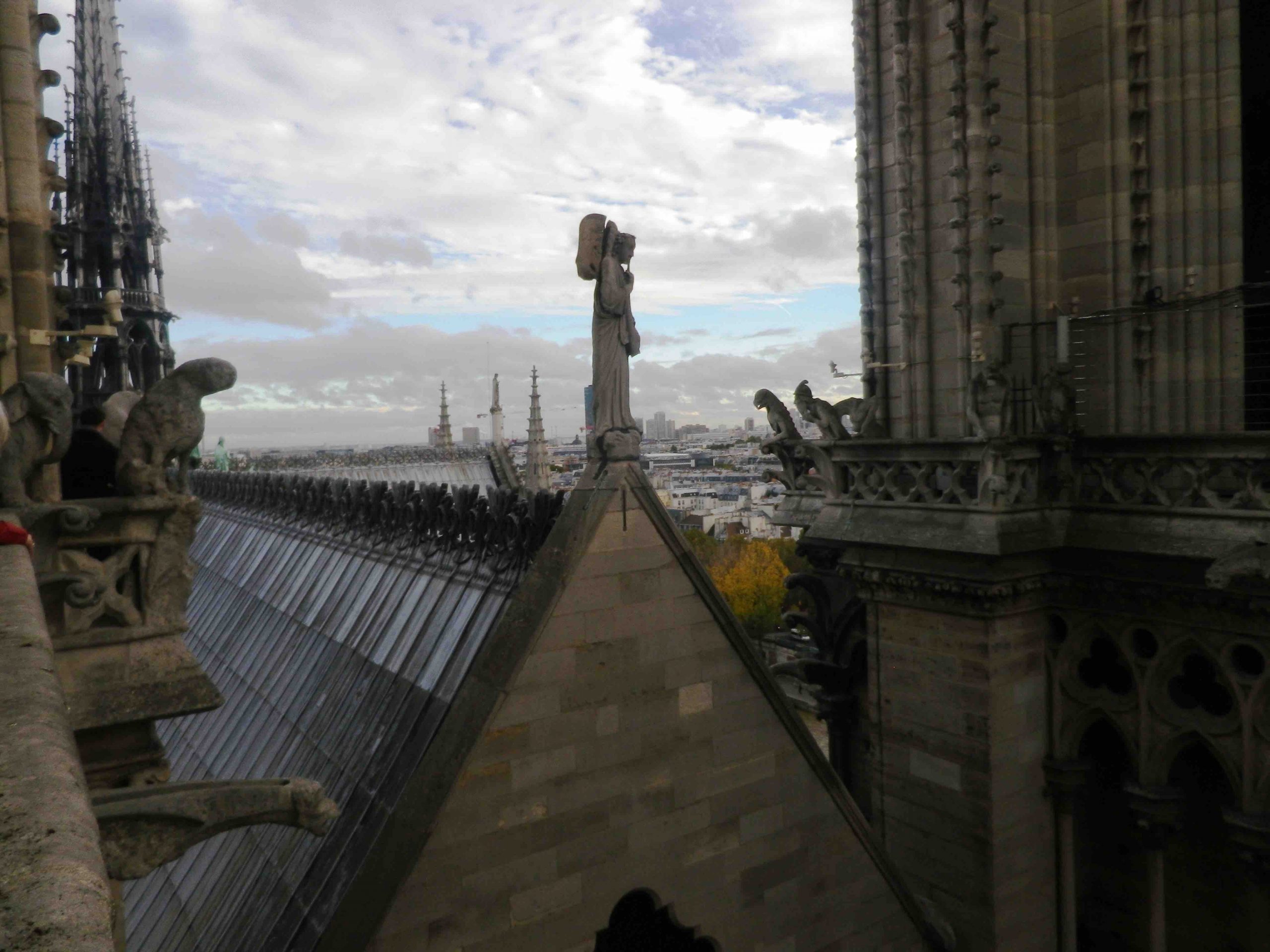 Toits de Notre-Dame de Paris