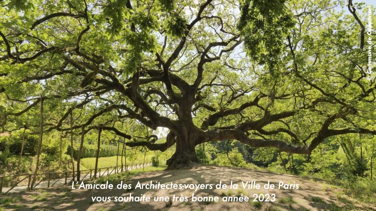 Voeux 2023